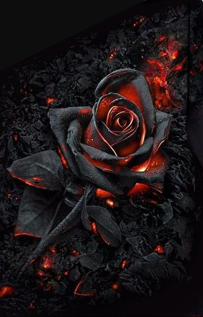 Gilet de forage chaud creux sexy imprimé rose noire flamme