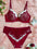 Christmas Sexy Color Block Lace Push up Bra 2-Piece Set